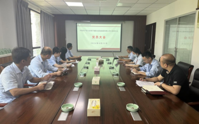 La rama del partido de Zicheng United Construction Group Co., Ltd. celebró una conferencia de miembros del partido.
